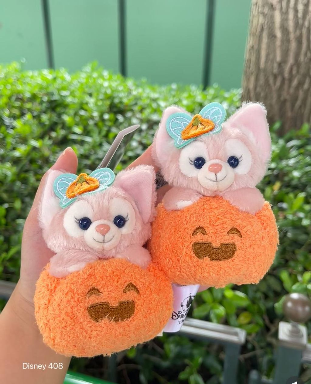 image_76BF2E94-488B-4407-B819-1B1EBE5F3874_1760807998