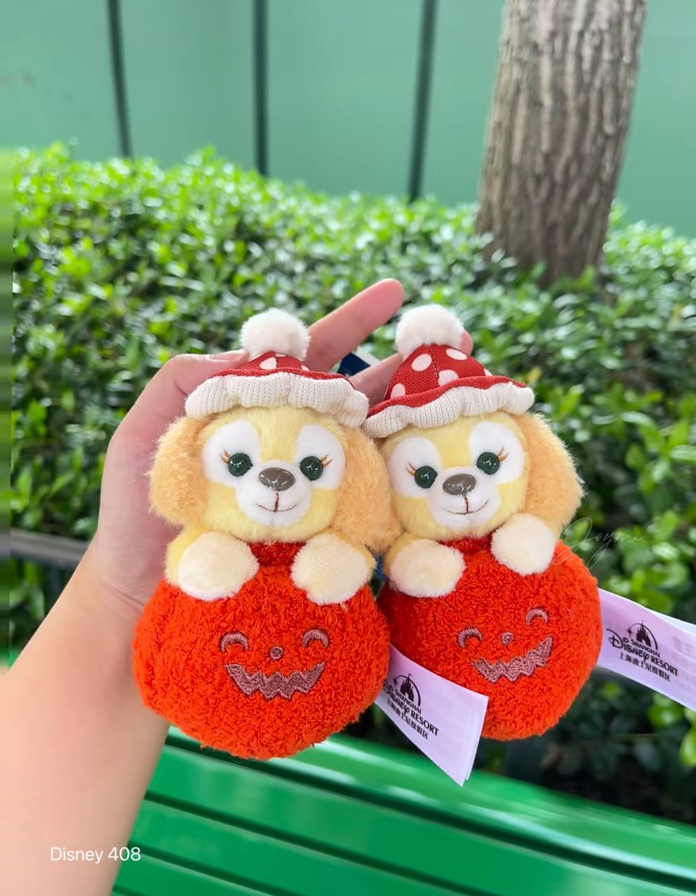 image_BBF39119-971A-4EB0-8AC9-FFE2E2612D18_1760807998