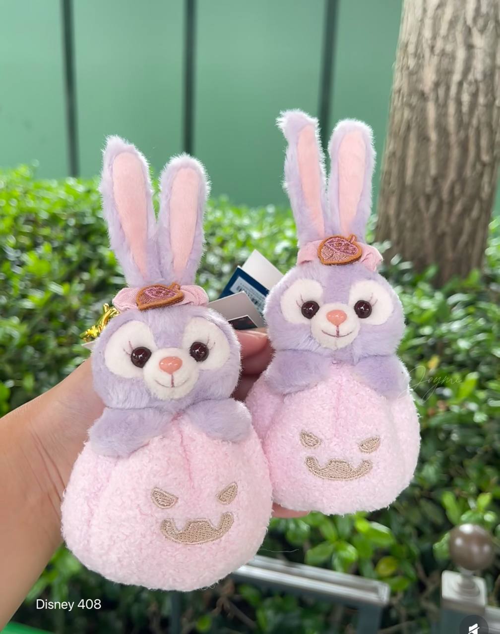 image_0C5BACE8-8CFA-4EF6-B0B6-7536262F6D24_1760807998