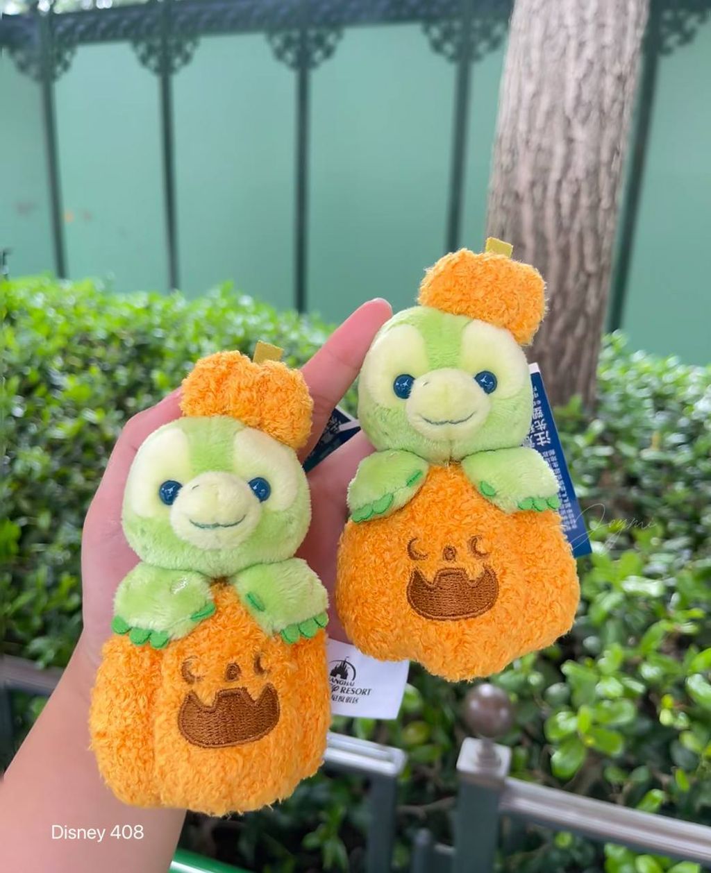 image_6A123941-E832-476C-9D07-C439F7A2DDDC_1760807998