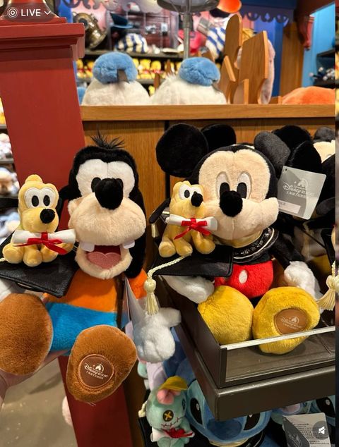 image_5A112972-C864-42CA-887E-8A3F92BD536B_1760808126