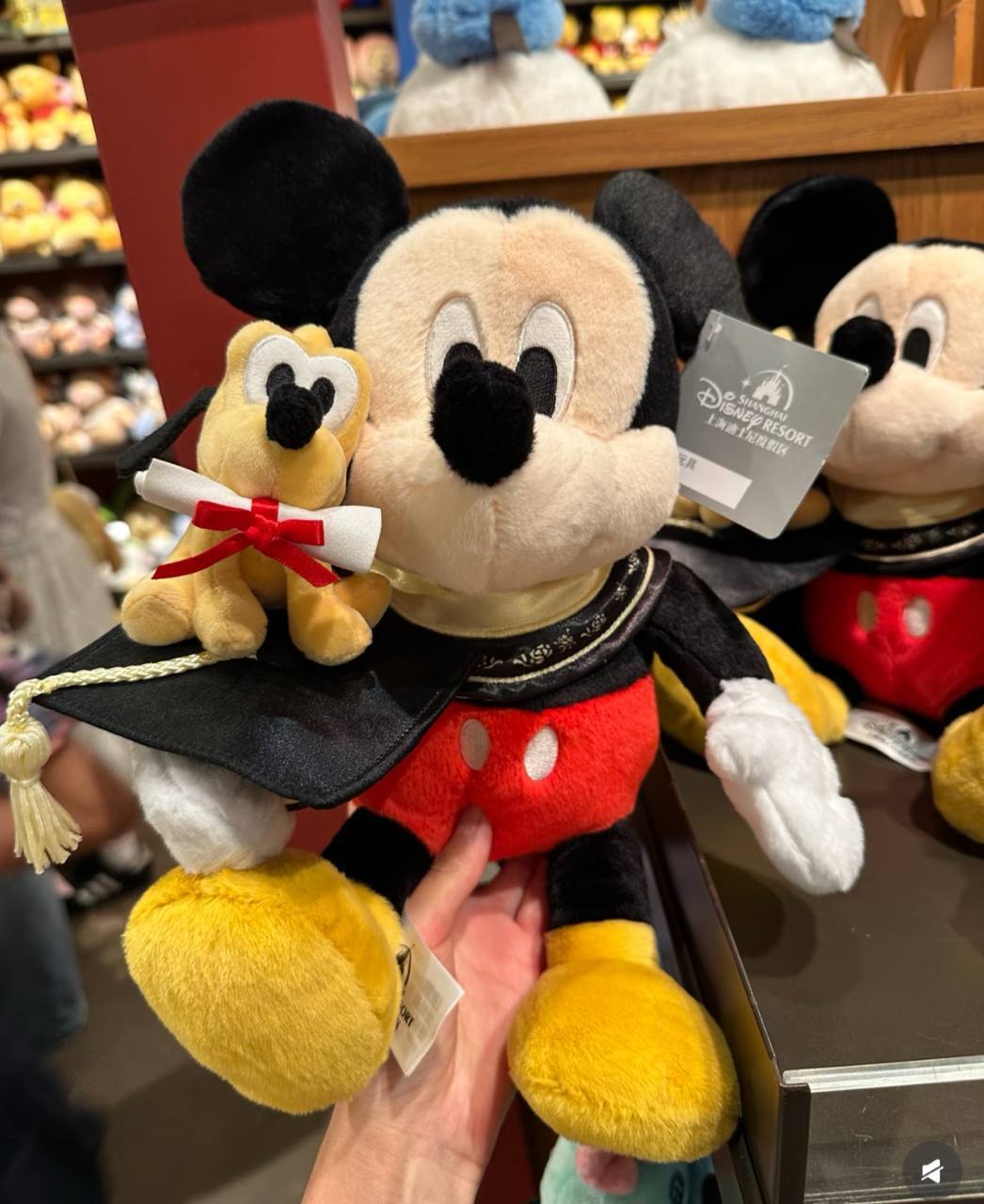 image_A9D20ED5-BB2E-48C6-BE77-08FE7E62CE01_1760808126