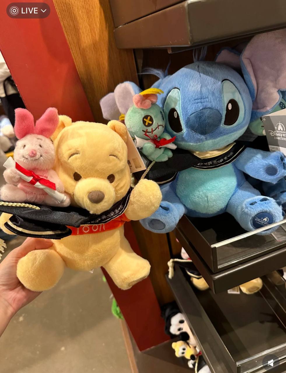 image_FA8EB30D-453E-4072-805C-FDACD964DEEA_1760808126