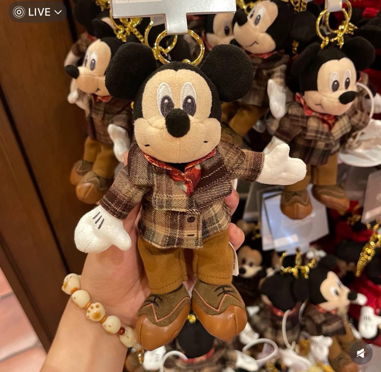 image_9D202DA2-CFD4-4C10-81C7-91059DE4105D_1760808207