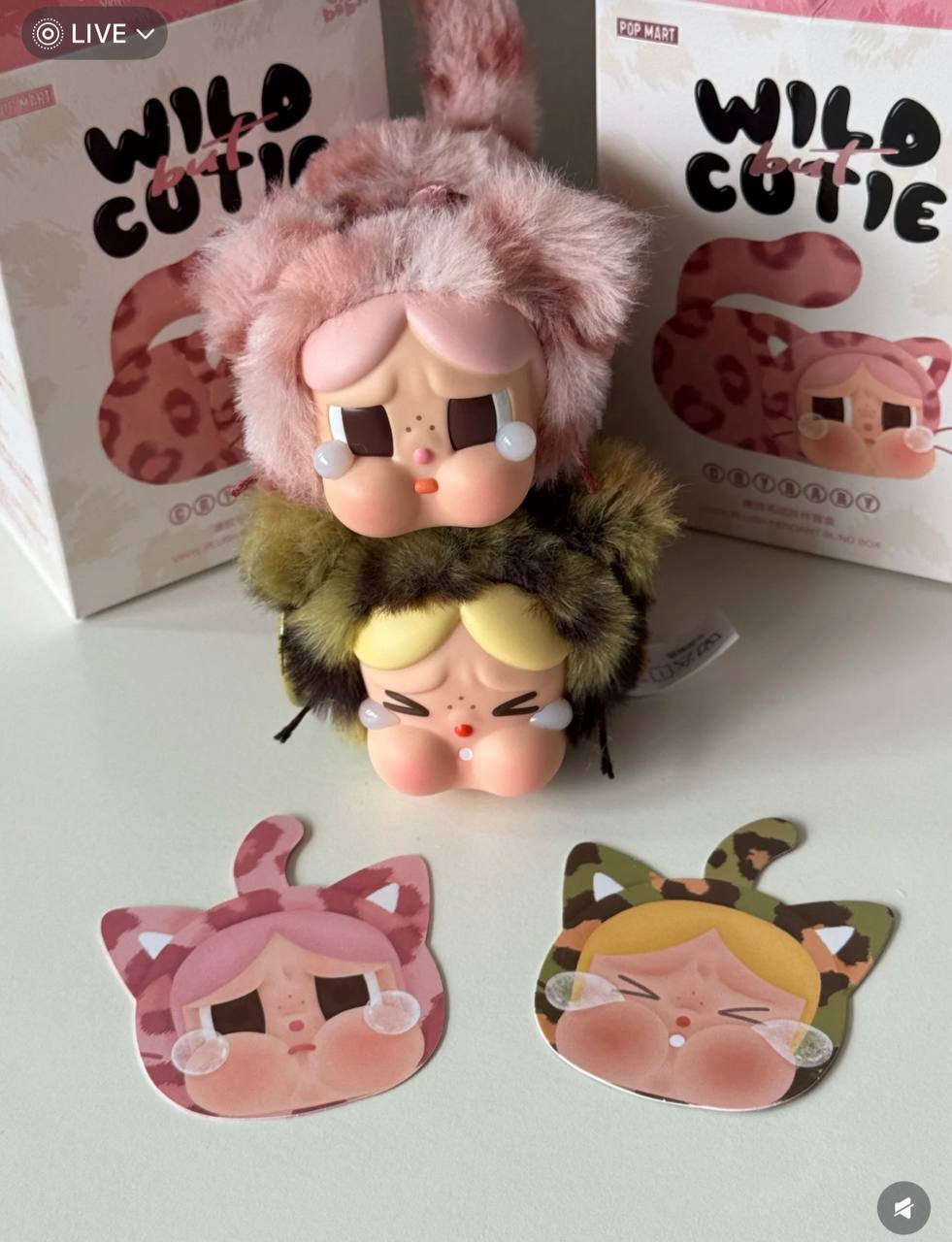 image_42EC6153-F4B3-4853-8962-DD3BB32C563E_1761022534