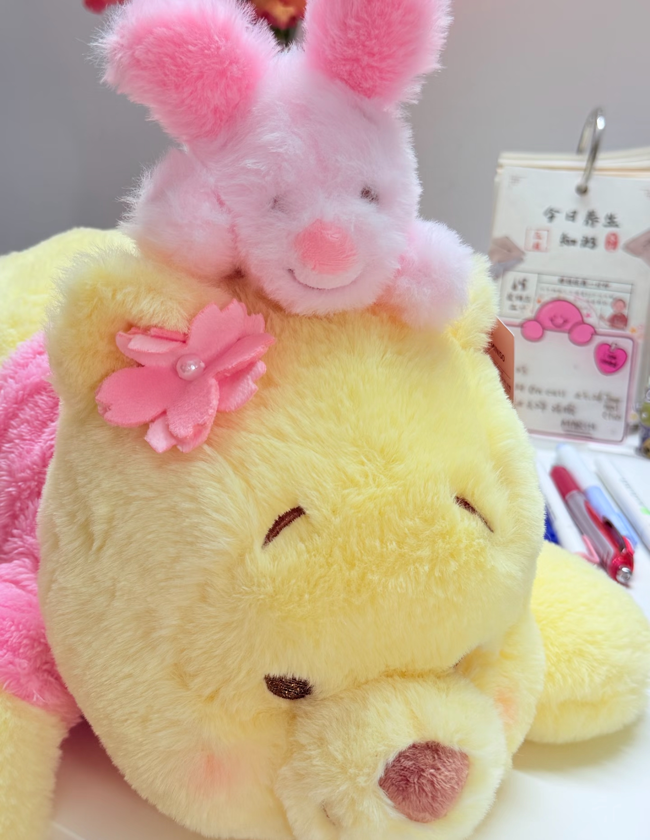 image_BB481754-551F-42FB-97AB-47CCB807D8B4_1761046669