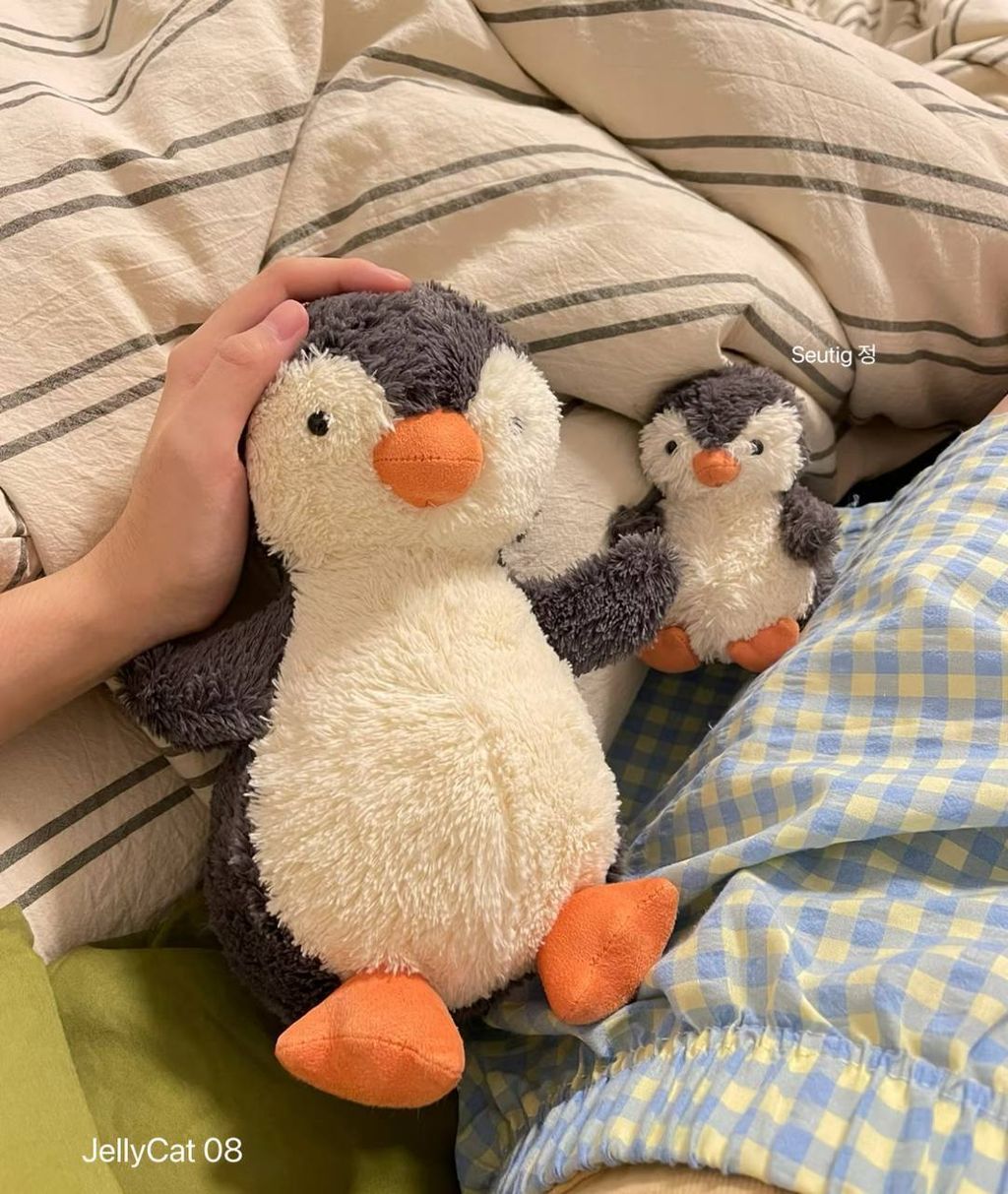 image_5EFE989E-CE22-4E9E-B75A-9DD7A3F14682_1761047042