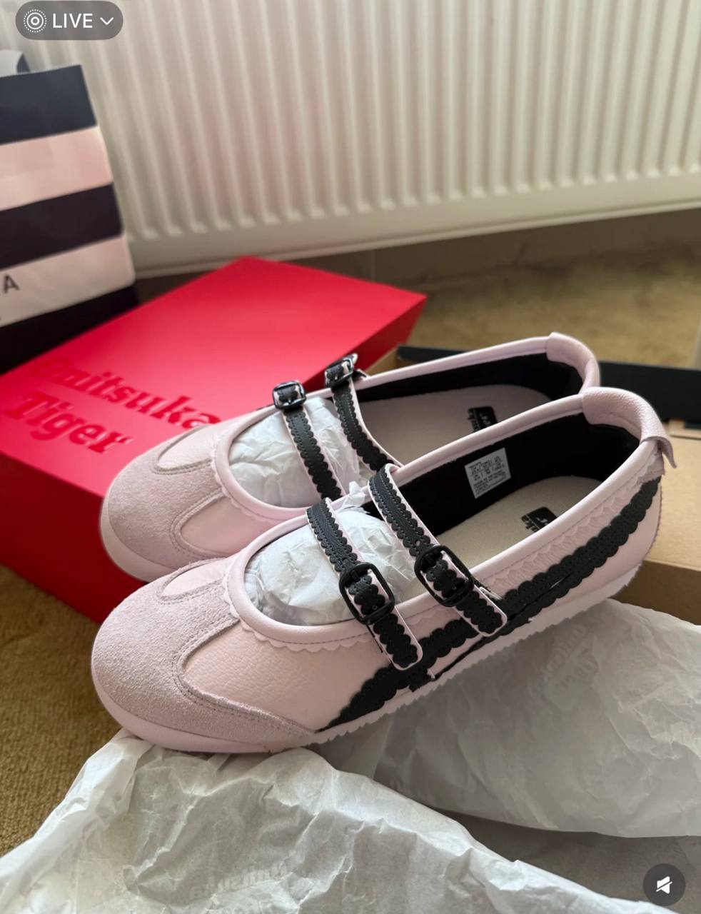 image_C0565CA8-94FC-4FCD-A137-C2FD99FD9E8E_1761229271