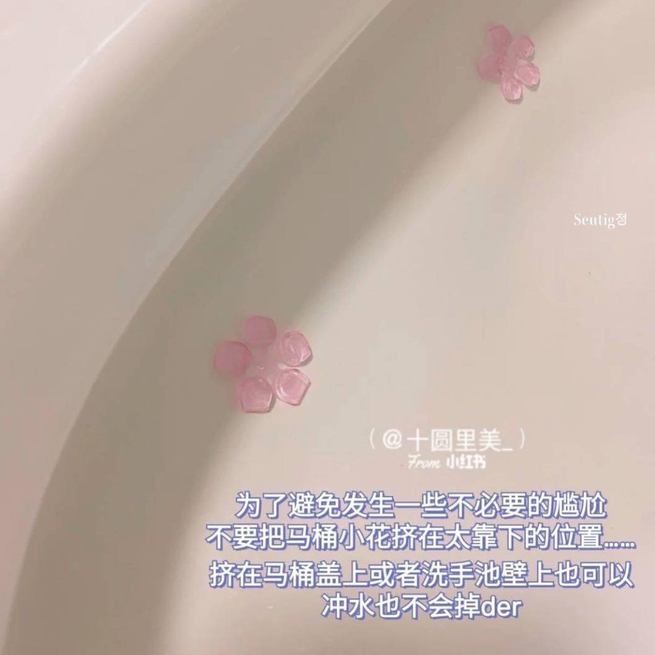 image_CEB45336-5782-4028-95D2-B111878DAA03_1755592560