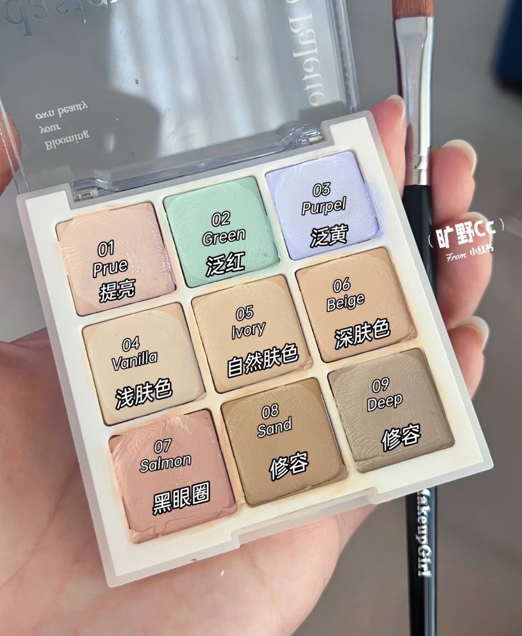 IMG_8896-1736330062564