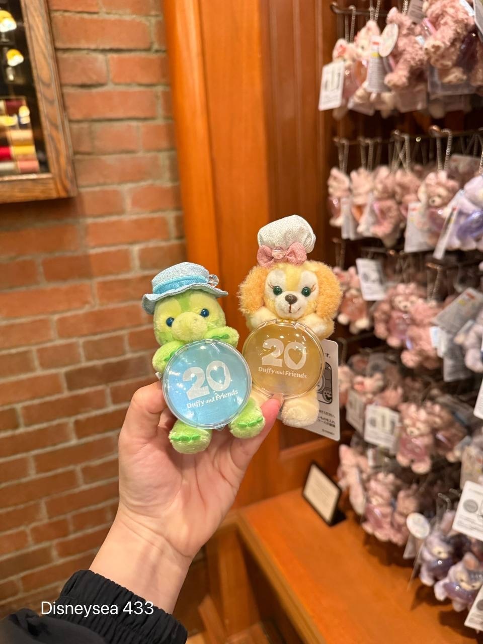 image_95CD2273-AC51-4F55-9781-9F8AFD6D1A21_1756309389