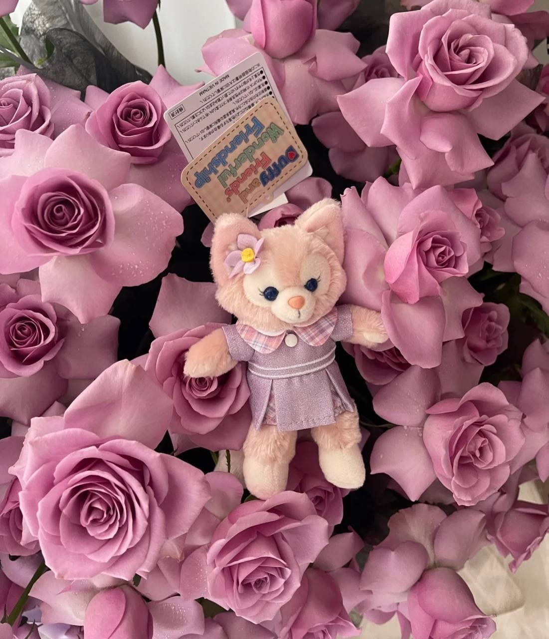 image_3250531C-61EF-44D4-A003-3A5217559C80_1756309185