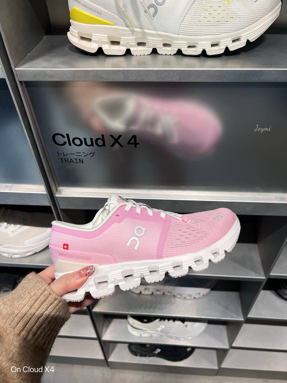 6059956314017829417 (1)