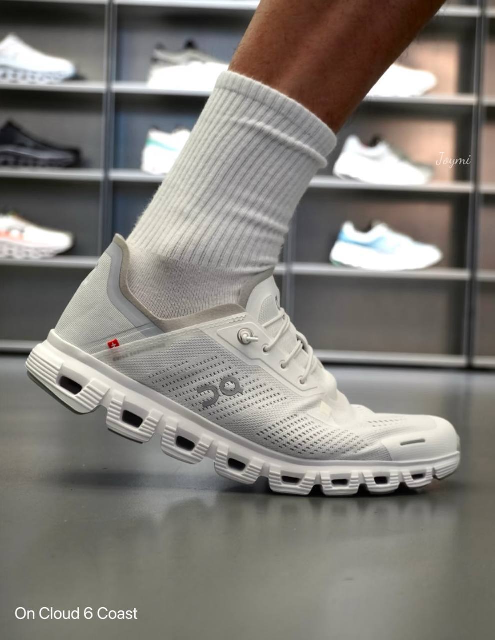 6059956314017829477 (1)