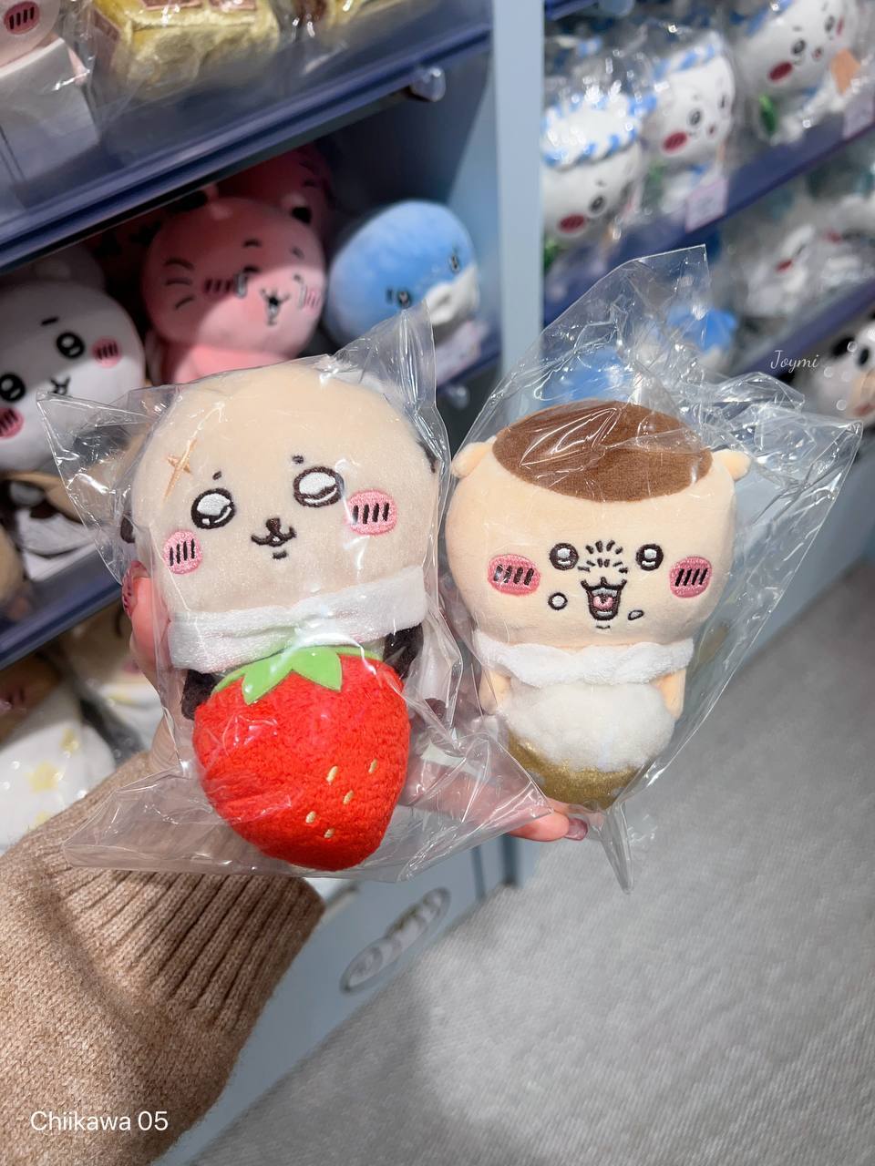 6062301095578504038 (1)