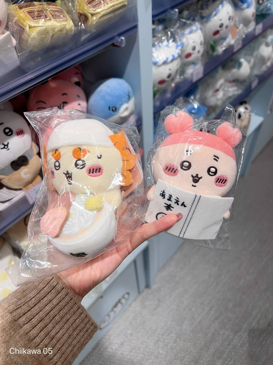 6062301095578504039 (1)