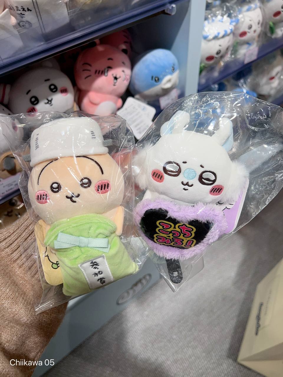 6062301095578504037 (1)