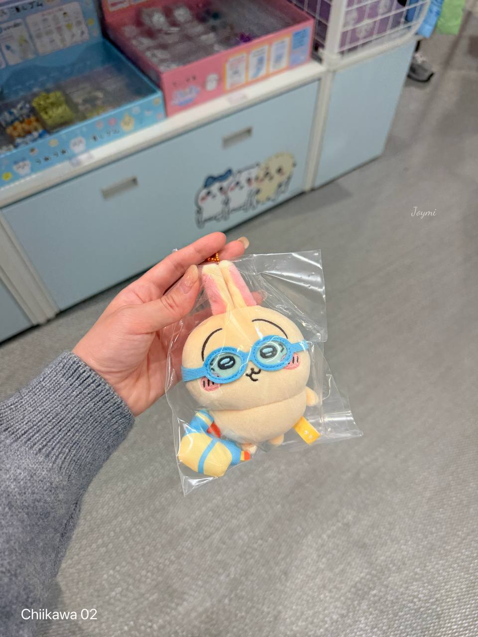 6062301095578504125 (1)