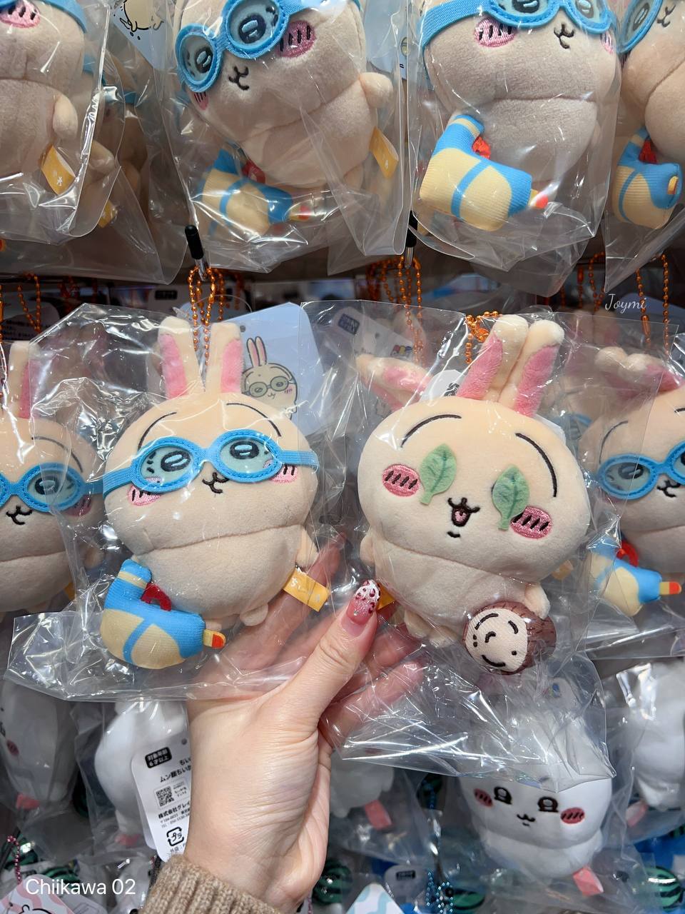 6062301095578504031 (1)