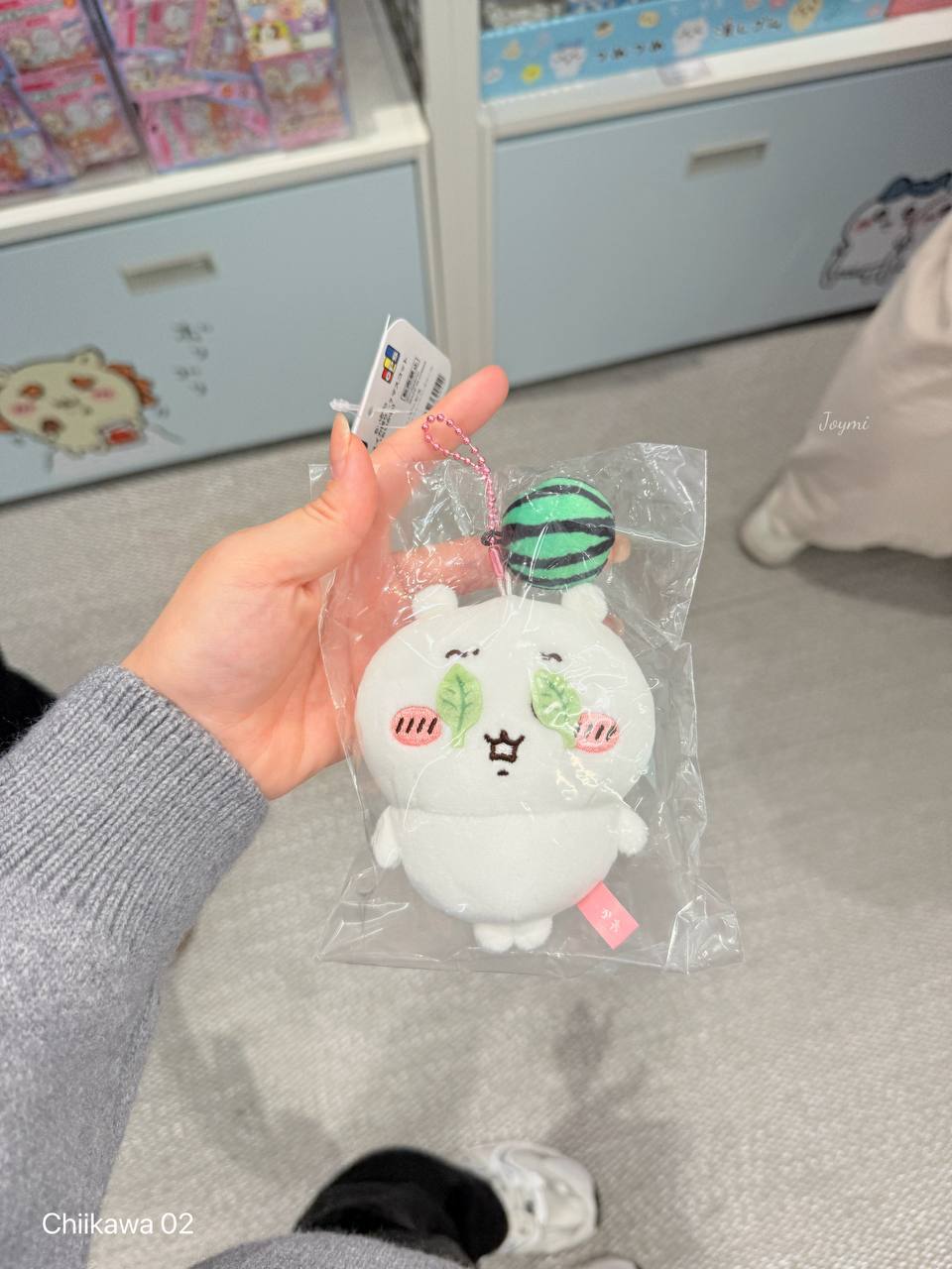 6062301095578504124 (1)