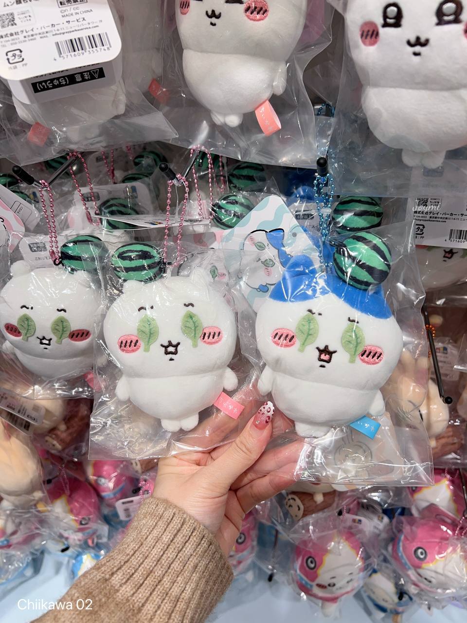 6062301095578504030 (2)