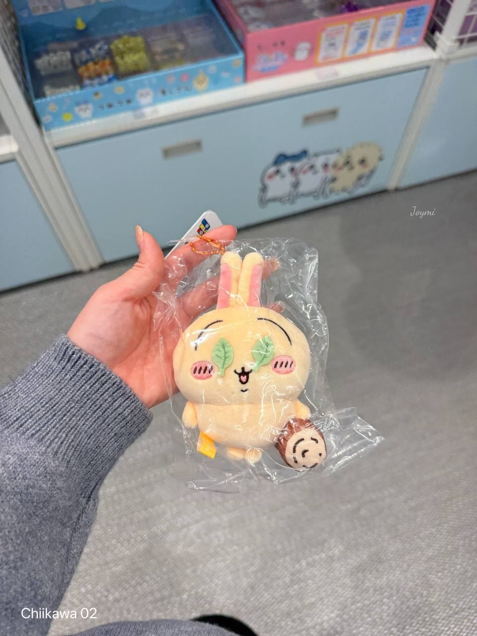 6062301095578504123 (1)