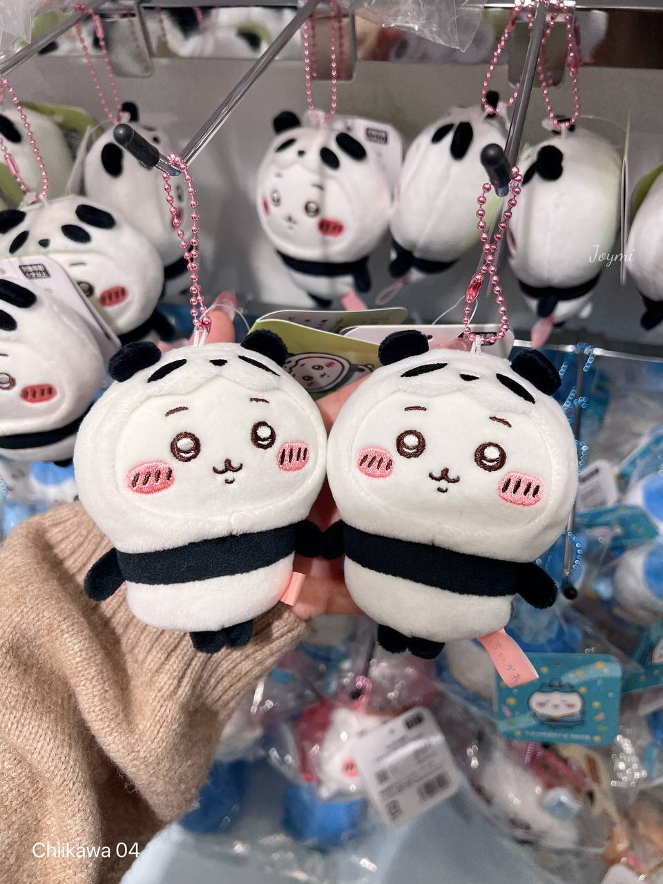 6062301095578504035 (1)