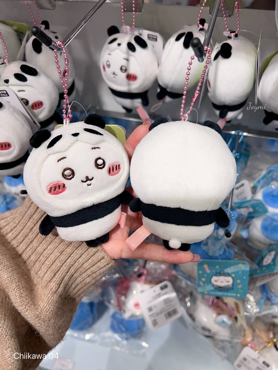 6062301095578504036 (1)