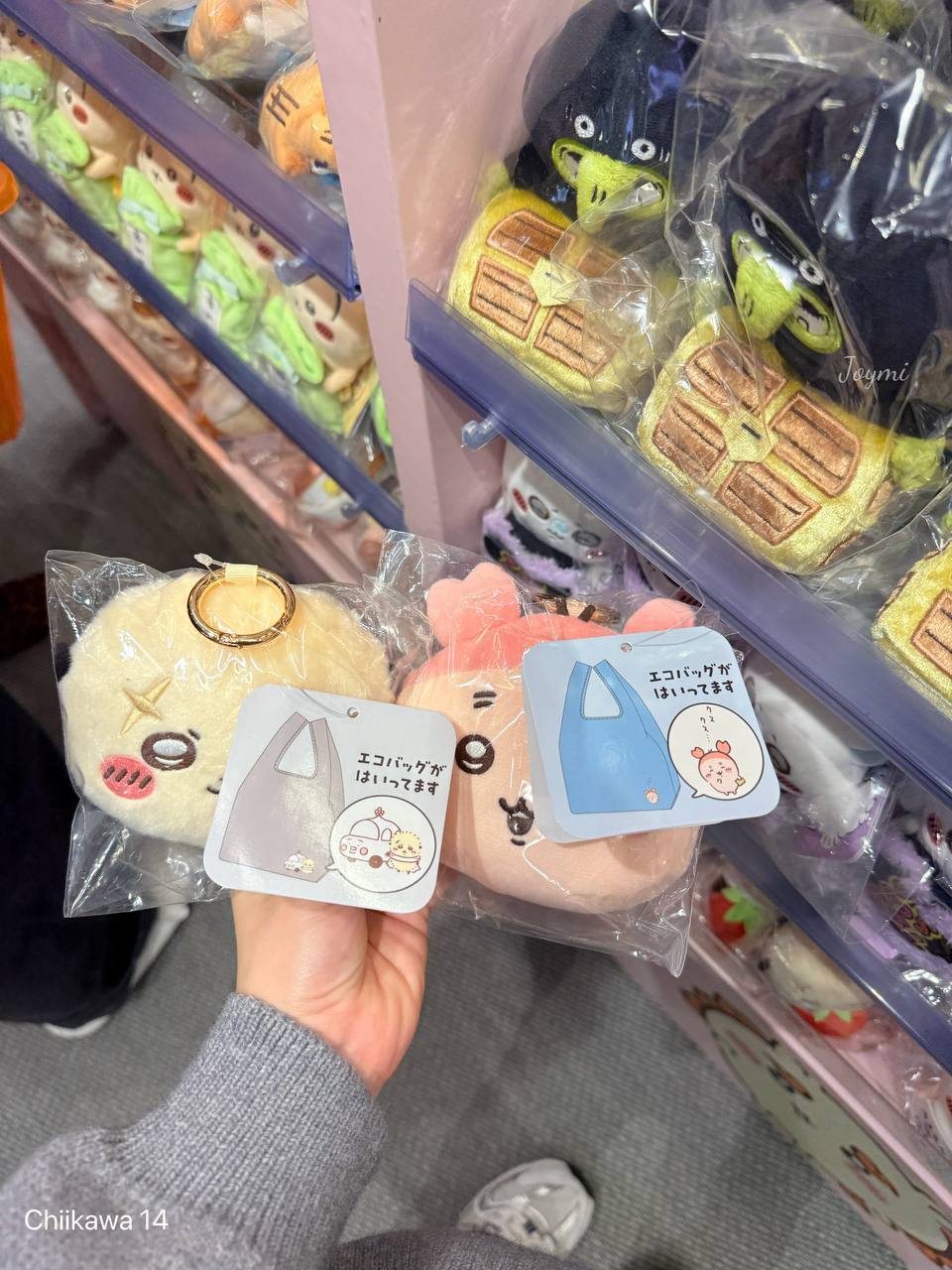 6062301095578504138 (1)