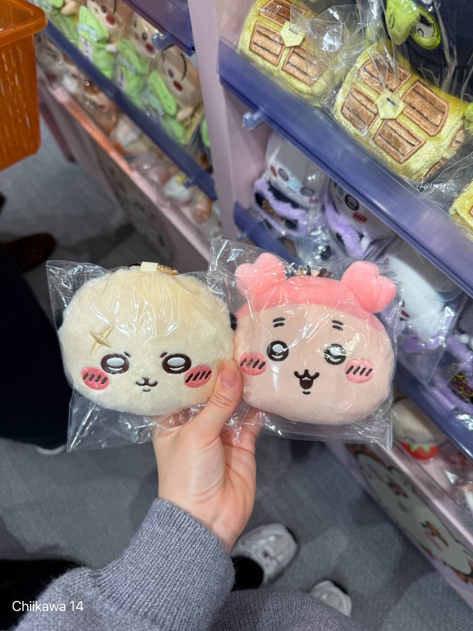 6062301095578504137 (1)