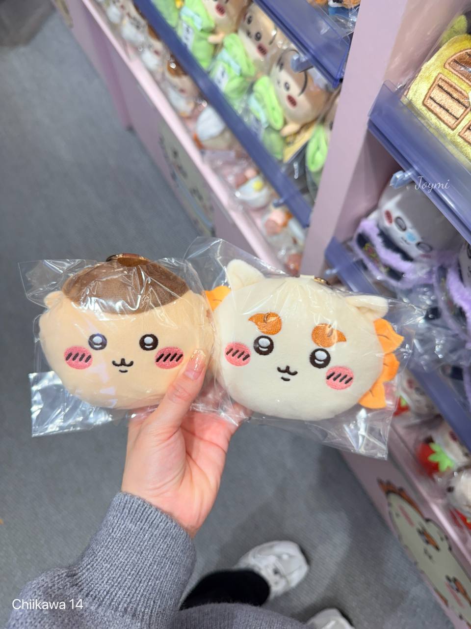 6062301095578504135 (1)