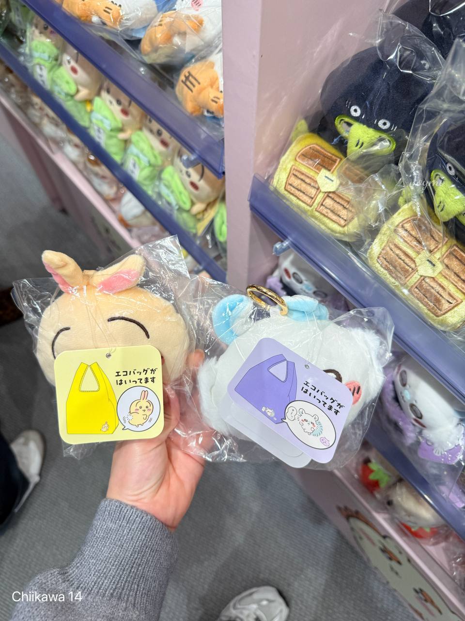 6062301095578504134 (1)