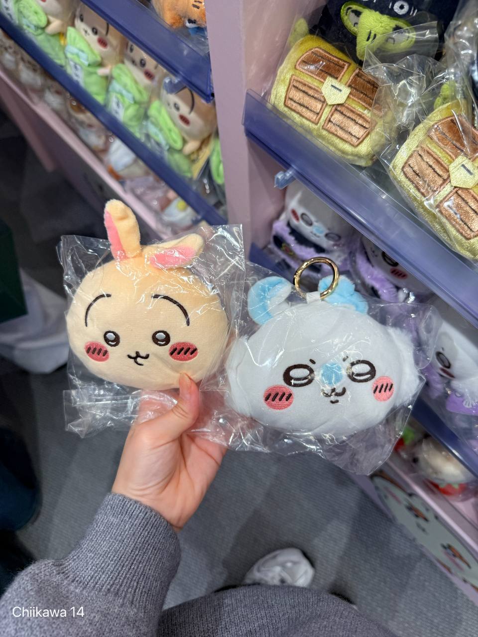 6062301095578504133 (1)