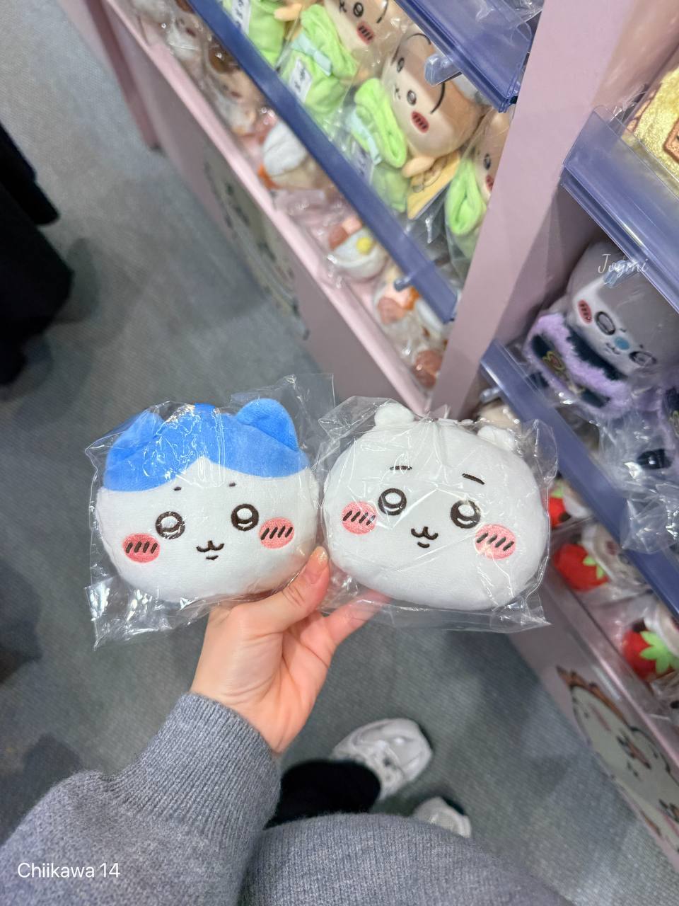 6062301095578504131 (1)