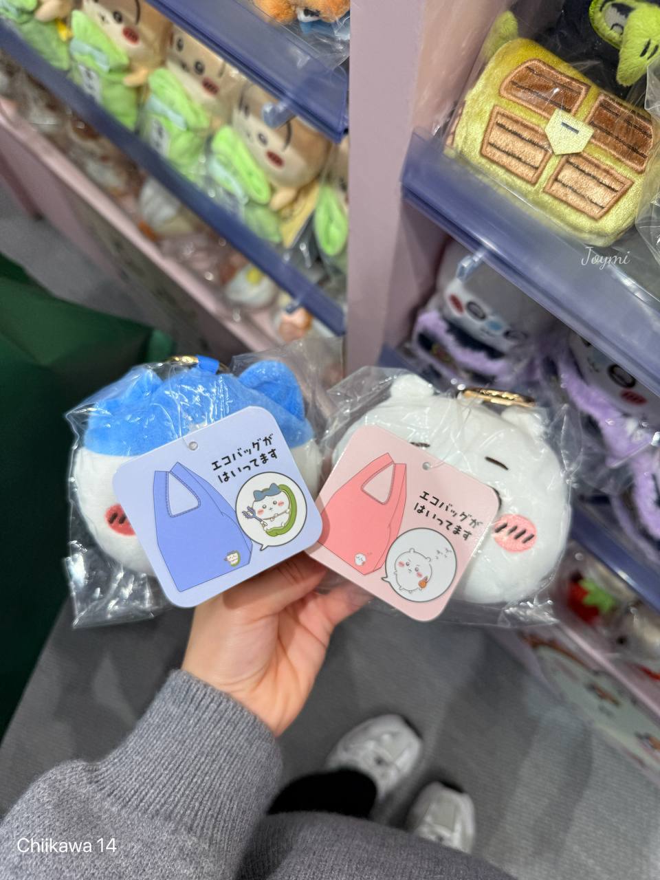 6062301095578504132 (1)