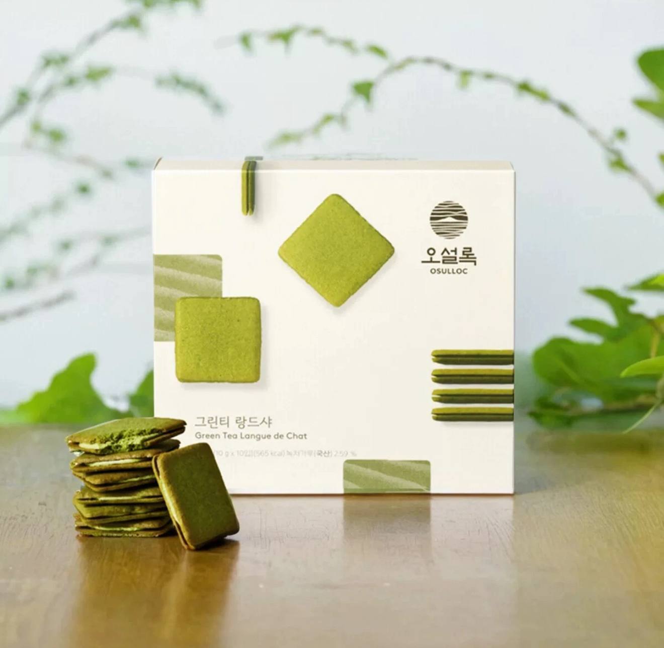 image_C8B76F5C-1043-4EE3-B111-F230E2281DEC_1763614704