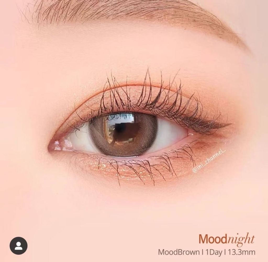 image_9BC57CDB-1735-4EE0-875C-BAB81BC18348_1763619657