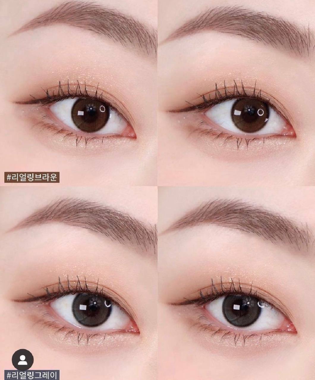 image_B87F6756-0271-4C20-9DD4-CC54FF1FA531_1763621227