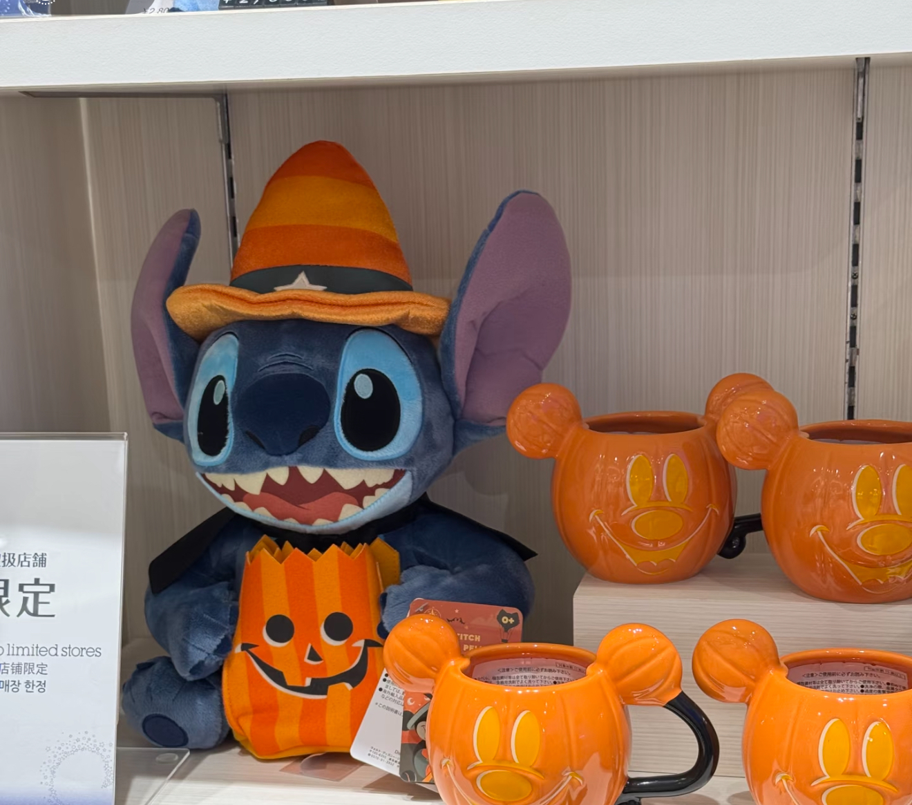 image_8FBA17B7-F743-4A4F-AFB3-D26B3C431919_1763655531