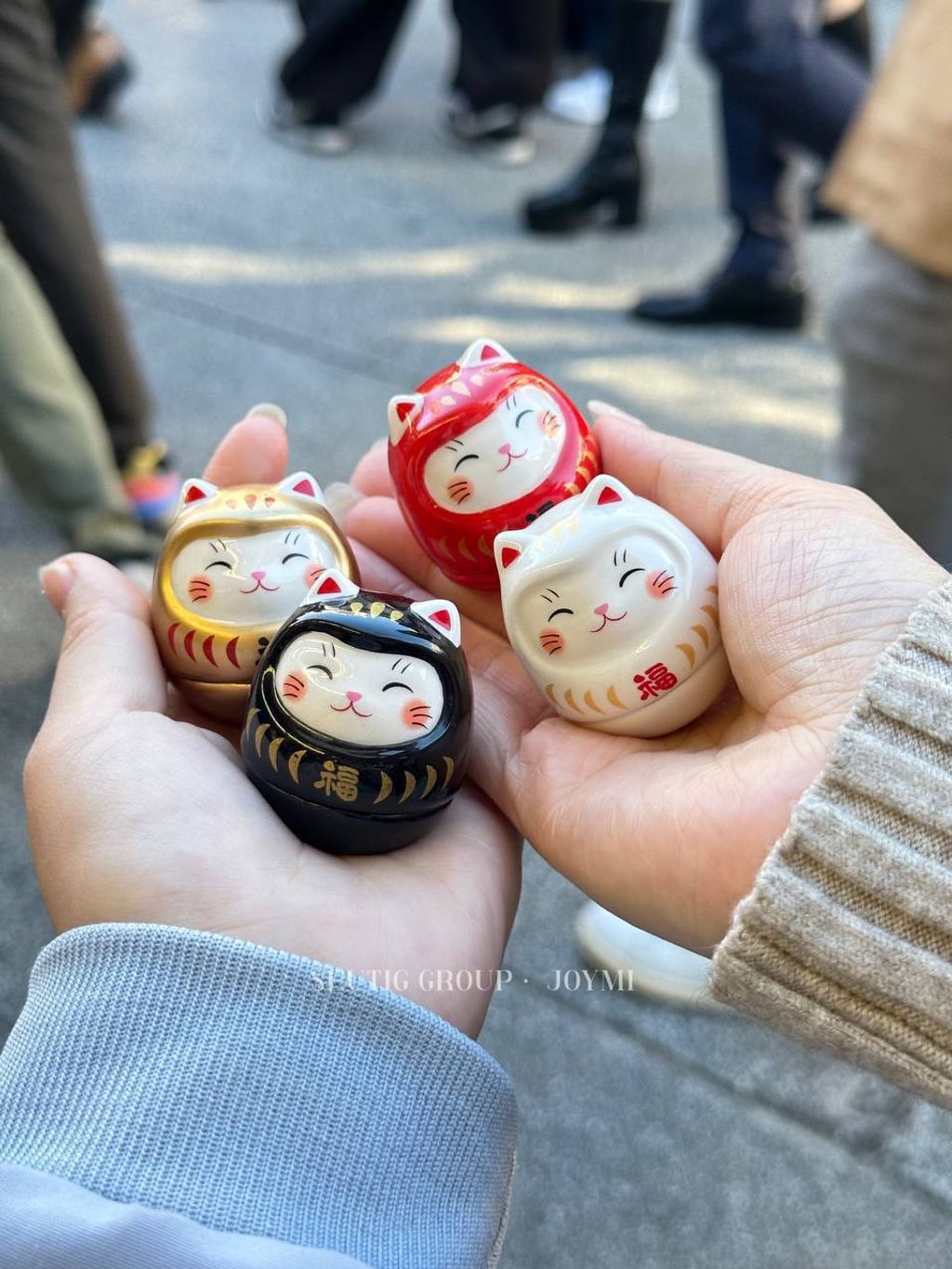 image_4B3AE6D8-497B-44A9-BD46-E55D70438D8C_1763655790