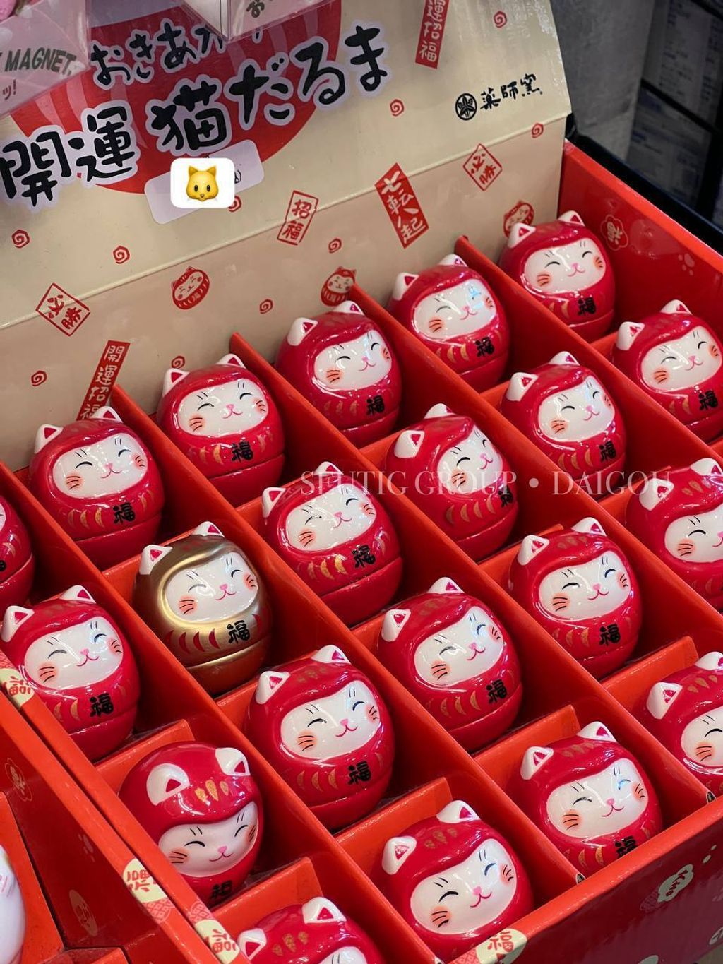 image_989CD091-7669-4F7A-9D0C-A7F221963CA7_1763655790