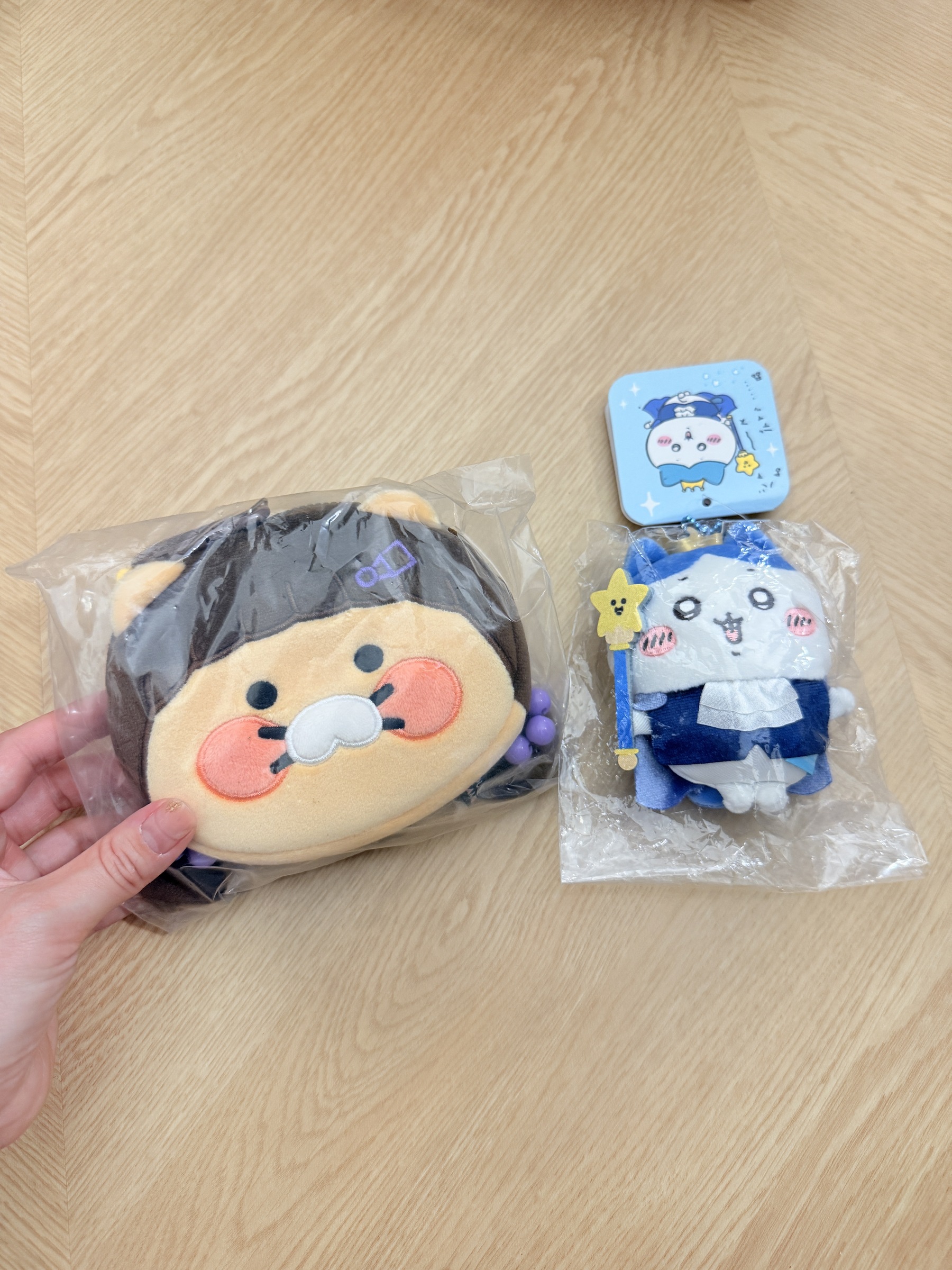 image_425EC621-C894-4811-B15D-74A676E3BF8F_1763712485