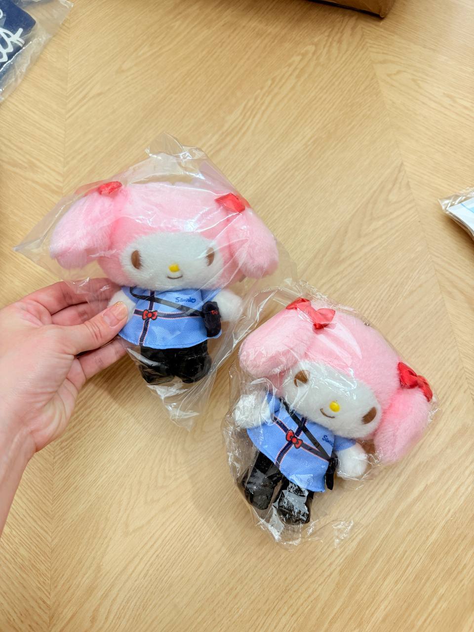 image_F92DA53C-1043-47F1-97C4-956FAD821BA1_1763713960