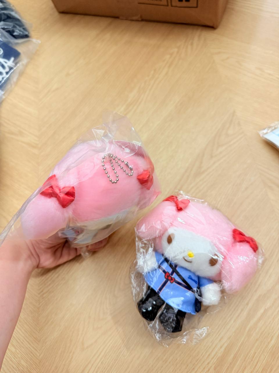 image_52DF6BFF-E08B-4077-A540-39C754104D3E_1763713960