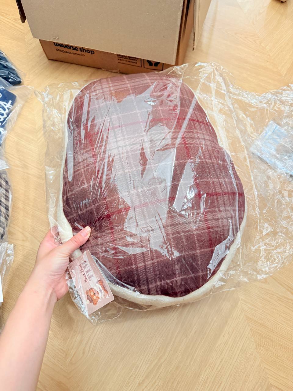 image_BA060E0D-5B1D-4831-A4A7-7442FF6FFF2D_1763787211