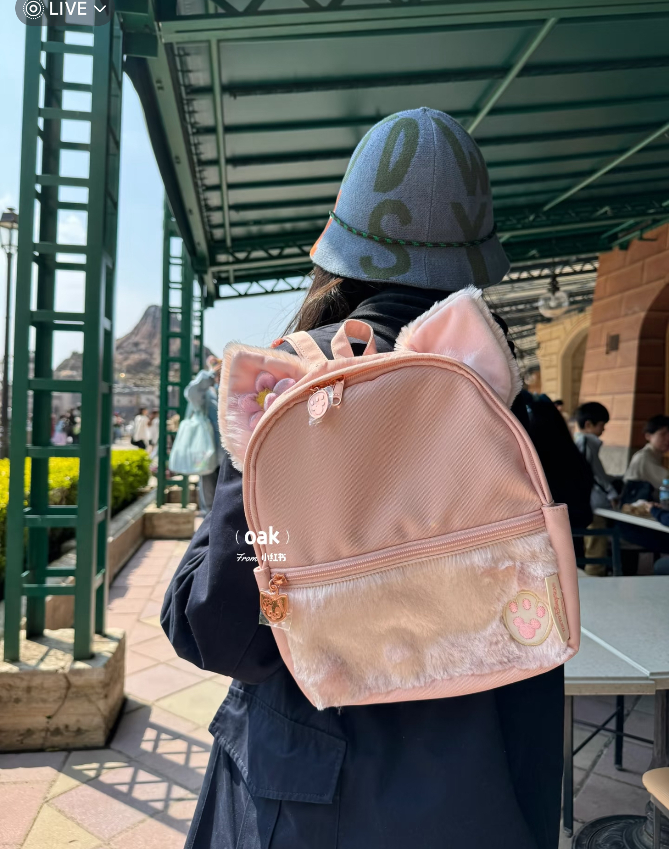 image_50504CF9-BFF6-4EBF-8F90-28B80E0B2A5B_1763789221