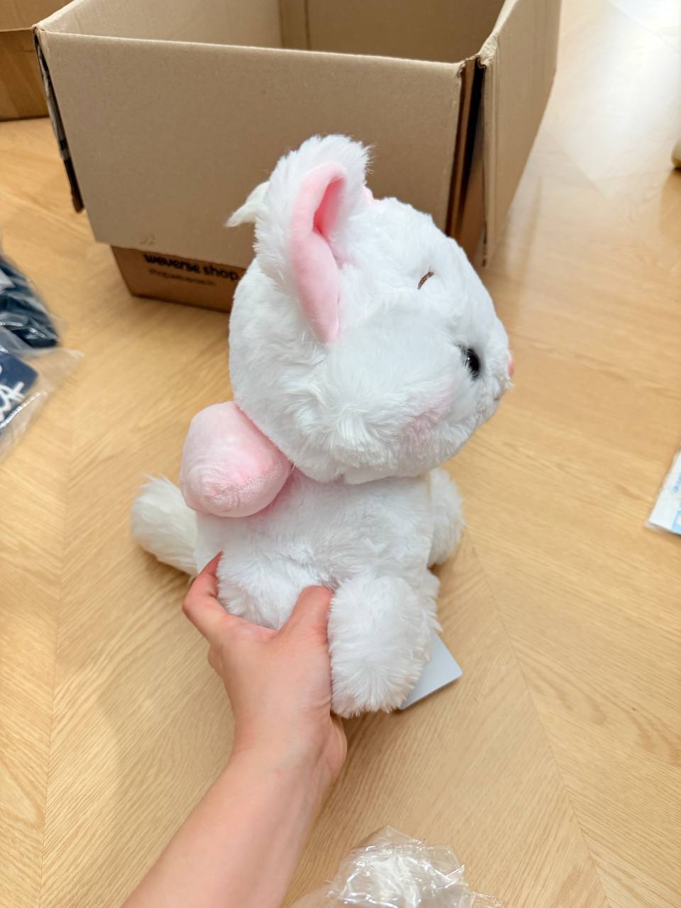 image_DCE790EE-FCCA-4B6D-8CF5-E5E1FB5AE9B5_1763790435