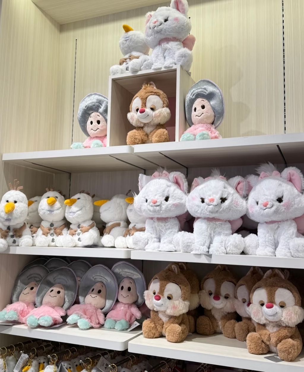 image_DA1F259E-27A2-4DD9-86FA-9477859C64ED_1763790435