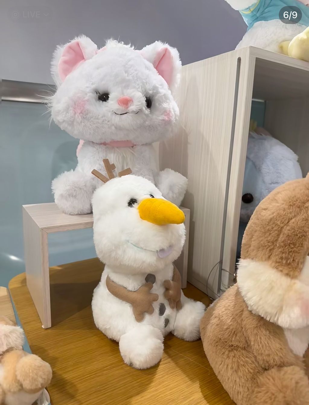 image_D705F82B-CF49-4496-ADB4-AA353EEFD5AA_1763790435