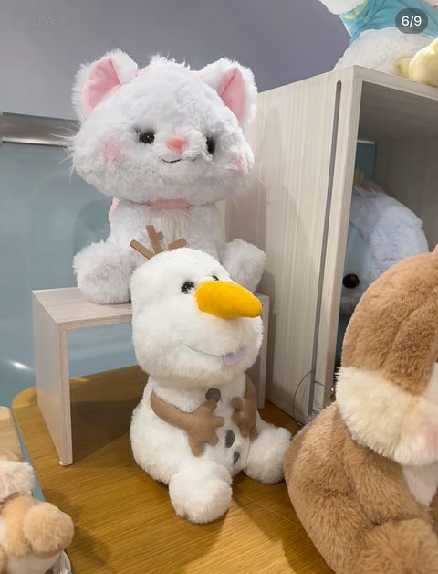 image_D705F82B-CF49-4496-ADB4-AA353EEFD5AA_1763790435